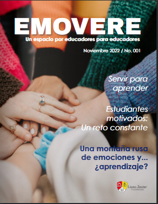 revista11