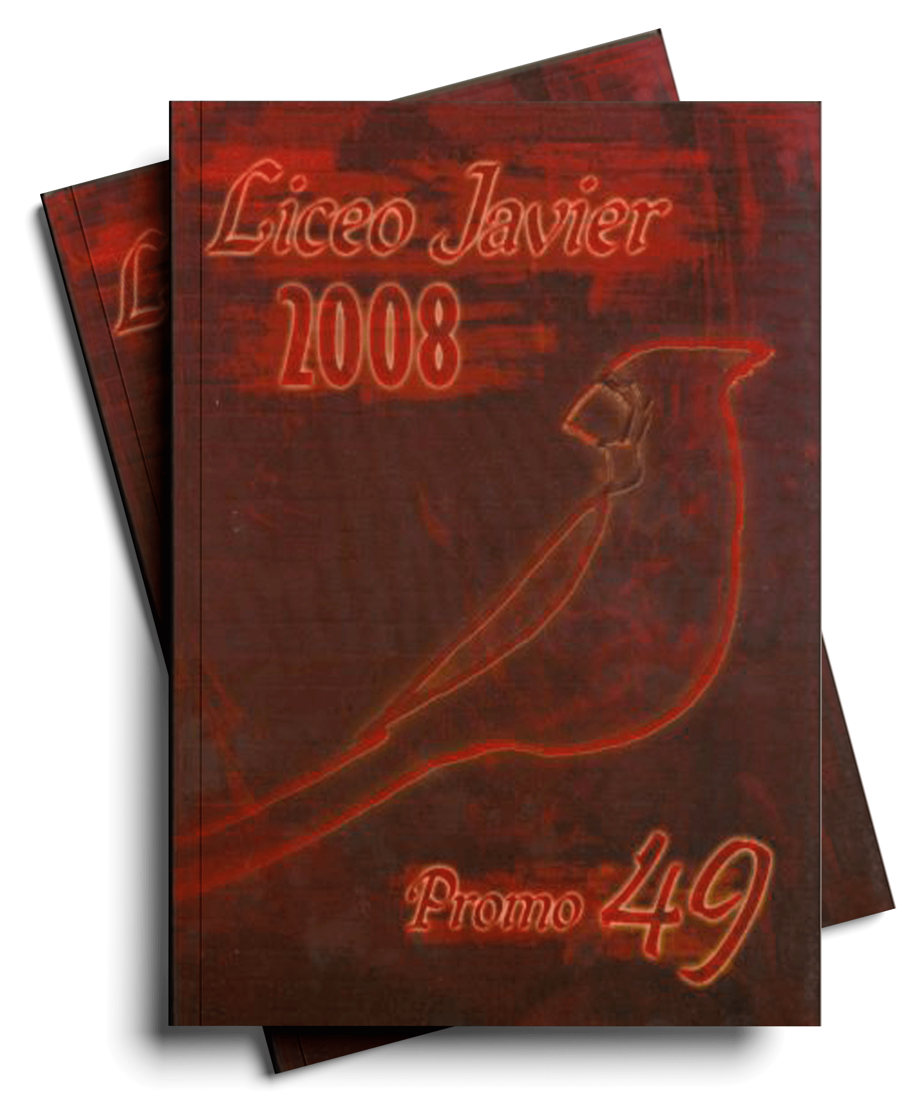 Anuario11