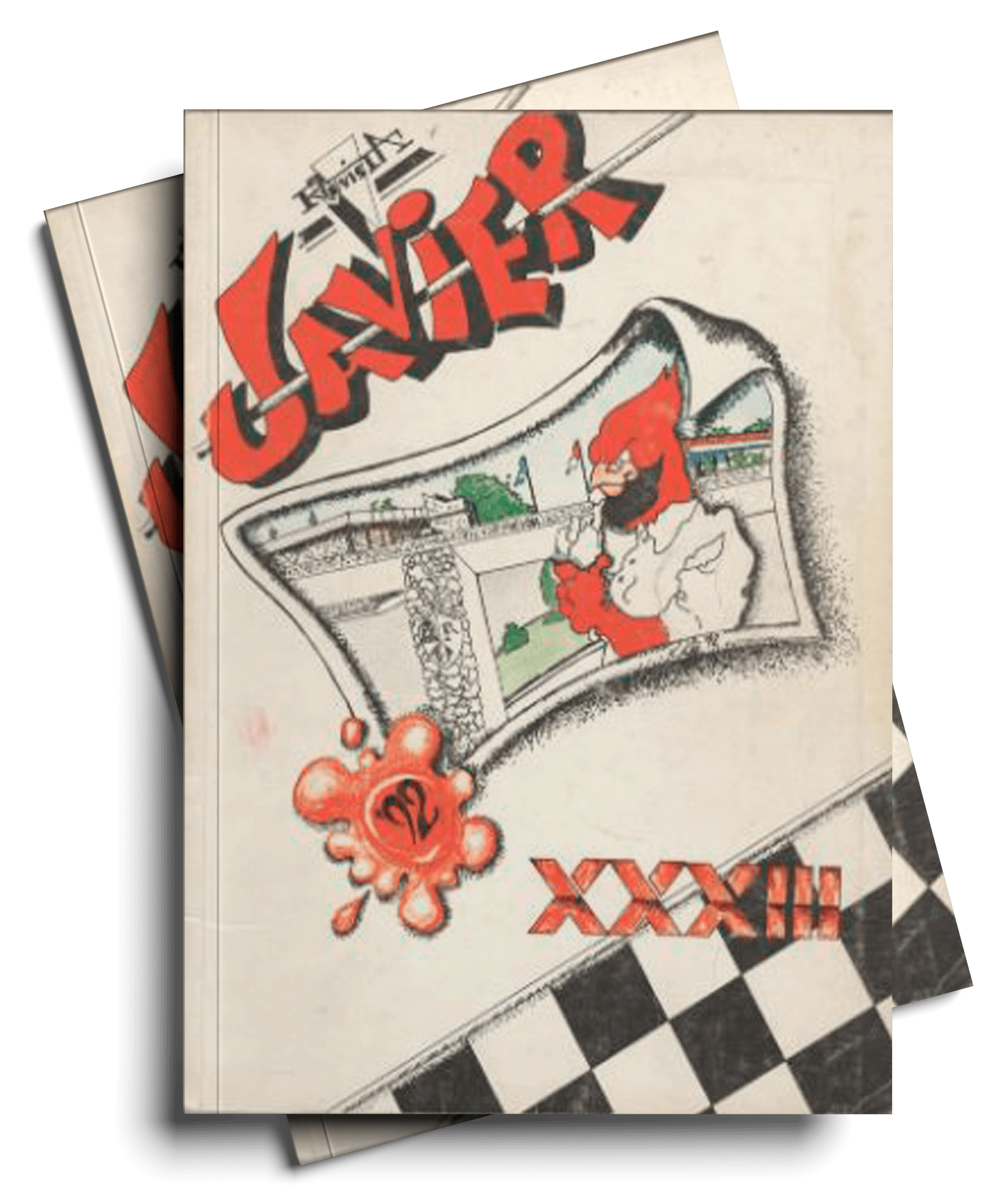 anuario33