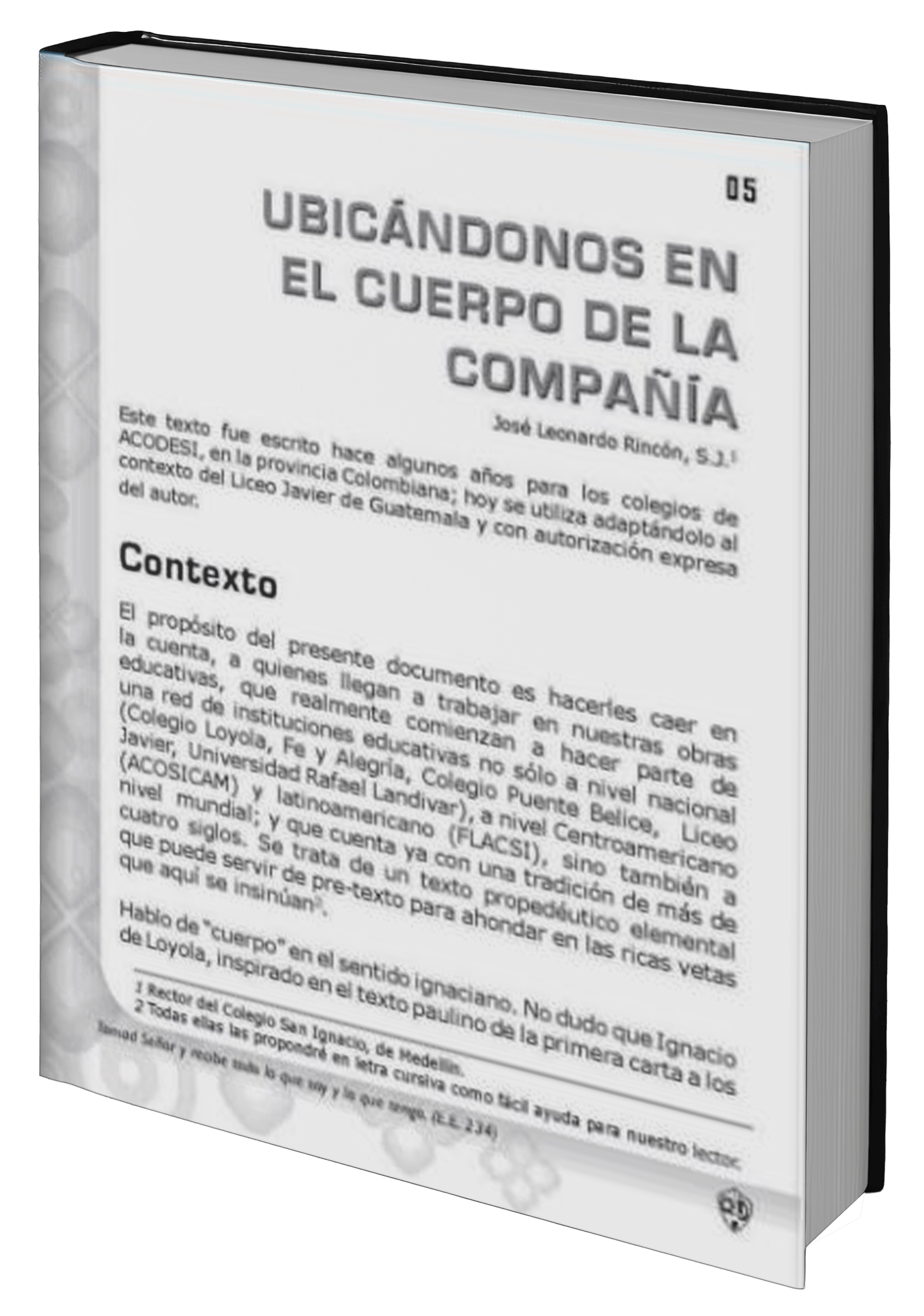 new-folleto13